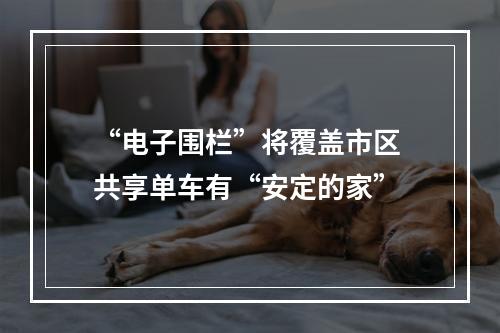 “电子围栏”将覆盖市区 共享单车有“安定的家”
