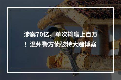 涉案70亿，单次输赢上百万！温州警方侦破特大赌博案