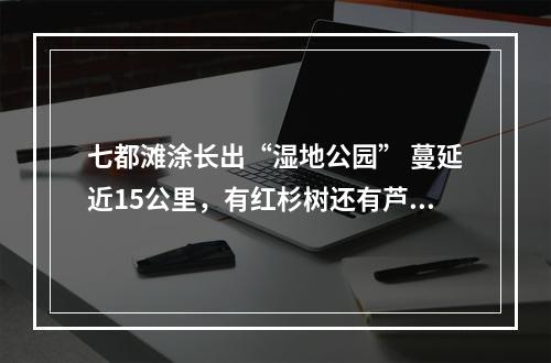 七都滩涂长出“湿地公园” 蔓延近15公里，有红杉树还有芦苇荡