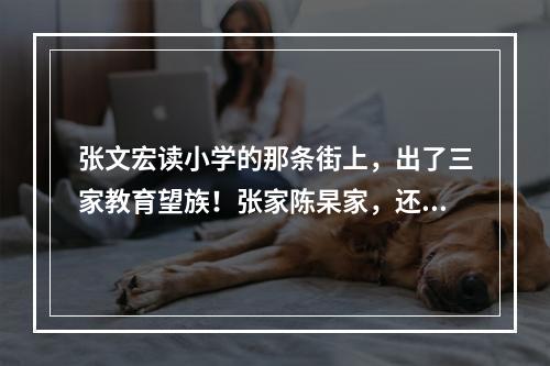张文宏读小学的那条街上，出了三家教育望族！张家陈杲家，还有一门5博士的蔡家