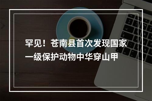 罕见！苍南县首次发现国家一级保护动物中华穿山甲
