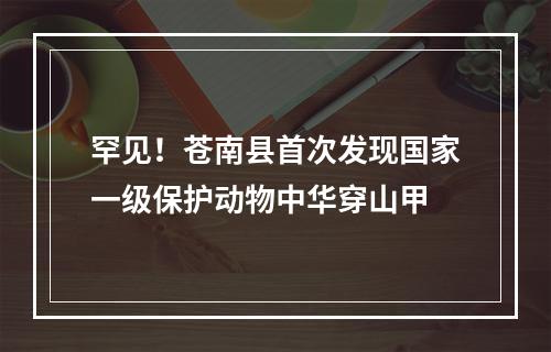 罕见！苍南县首次发现国家一级保护动物中华穿山甲