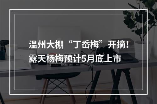 温州大棚“丁岙梅”开摘！露天杨梅预计5月底上市
