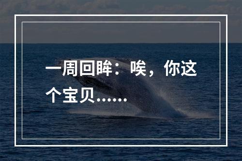 一周回眸：唉，你这个宝贝......