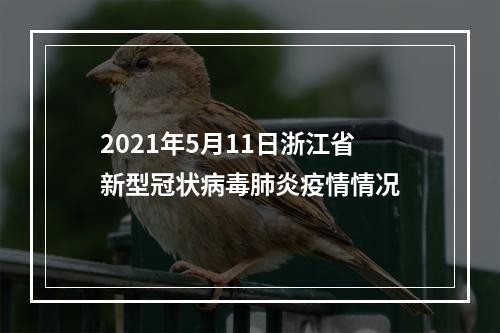 2021年5月11日浙江省新型冠状病毒肺炎疫情情况