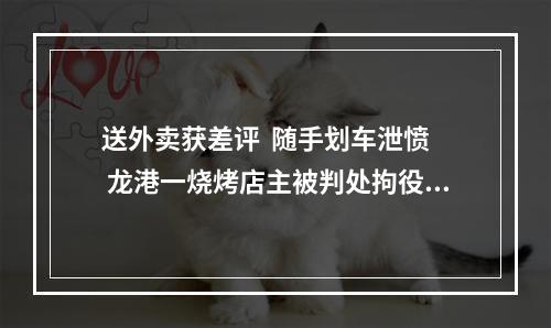 送外卖获差评  随手划车泄愤  龙港一烧烤店主被判处拘役三个月