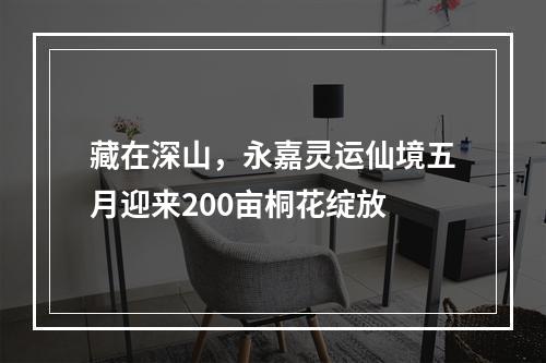 藏在深山，永嘉灵运仙境五月迎来200亩桐花绽放