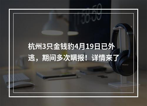杭州3只金钱豹4月19日已外逃，期间多次瞒报！详情来了