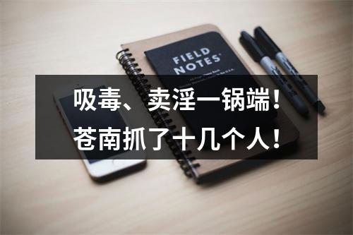 吸毒、卖淫一锅端！苍南抓了十几个人！