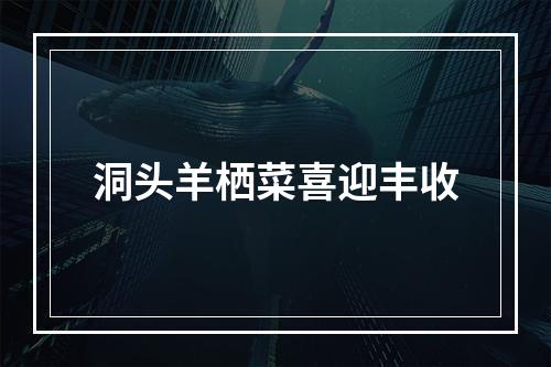洞头羊栖菜喜迎丰收