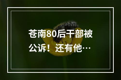 苍南80后干部被公诉！还有他…