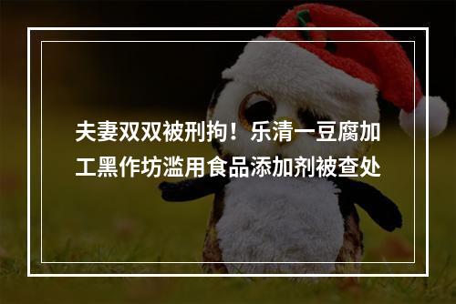 夫妻双双被刑拘！乐清一豆腐加工黑作坊滥用食品添加剂被查处