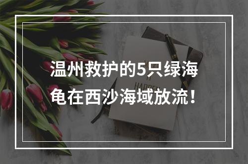温州救护的5只绿海龟在西沙海域放流！