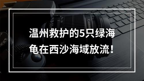 温州救护的5只绿海龟在西沙海域放流！