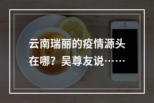云南瑞丽的疫情源头在哪？吴尊友说……