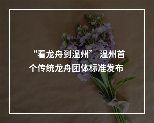 “看龙舟到温州” 温州首个传统龙舟团体标准发布