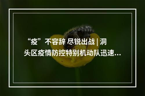 “疫”不容辞 尽锐出战 | 洞头区疫情防控特别机动队迅速集结整装待发