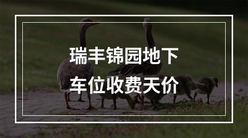 瑞丰锦园地下车位收费天价