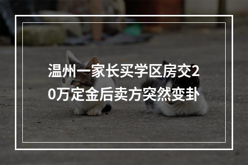 温州一家长买学区房交20万定金后卖方突然变卦