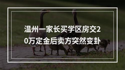 温州一家长买学区房交20万定金后卖方突然变卦
