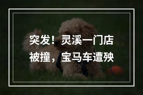 突发！灵溪一门店被撞，宝马车遭殃