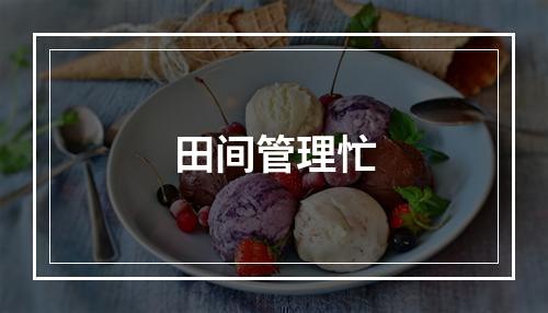 田间管理忙