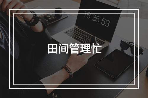 田间管理忙