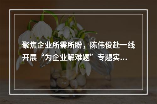 聚焦企业所需所盼，陈伟俊赴一线开展“为企业解难题”专题实践活动