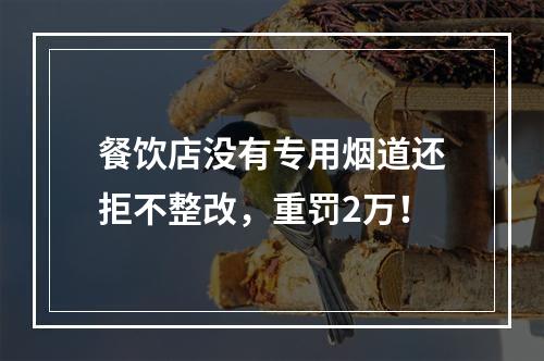 餐饮店没有专用烟道还拒不整改，重罚2万！