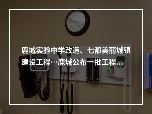 鹿城实验中学改造、七都美丽城镇建设工程…鹿城公布一批工程批复