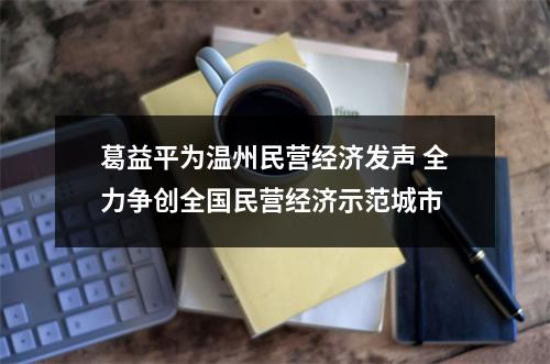葛益平为温州民营经济发声 全力争创全国民营经济示范城市