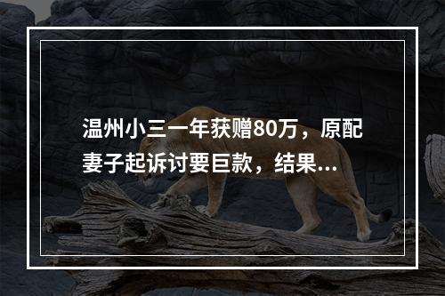温州小三一年获赠80万，原配妻子起诉讨要巨款，结果...