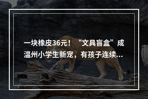 一块橡皮36元！“文具盲盒”成温州小学生新宠，有孩子连续买了500多元