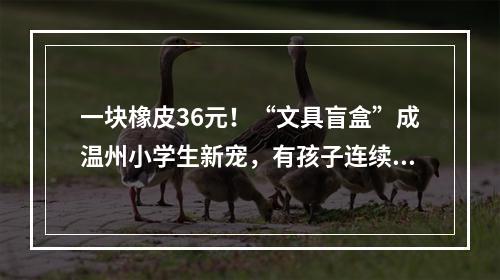 一块橡皮36元！“文具盲盒”成温州小学生新宠，有孩子连续买了500多元