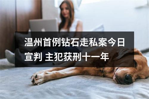 温州首例钻石走私案今日宣判 主犯获刑十一年