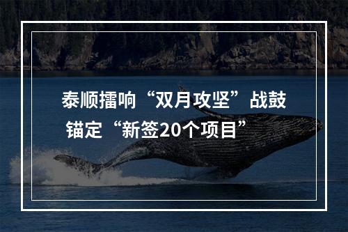 泰顺擂响“双月攻坚”战鼓 锚定“新签20个项目”