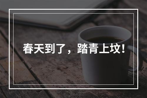 春天到了，踏青上坟！