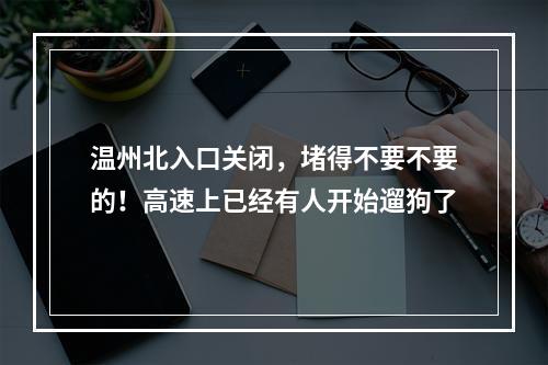 温州北入口关闭，堵得不要不要的！高速上已经有人开始遛狗了