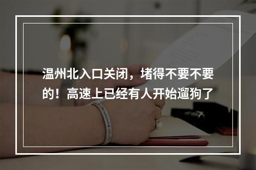 温州北入口关闭，堵得不要不要的！高速上已经有人开始遛狗了