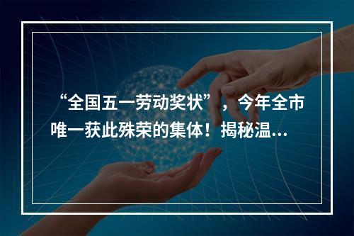 “全国五一劳动奖状”，今年全市唯一获此殊荣的集体！揭秘温州供电公司如何赋能城...