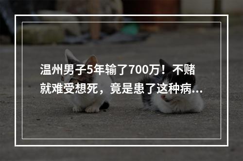温州男子5年输了700万！不赌就难受想死，竟是患了这种病！