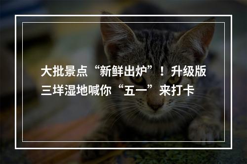 大批景点“新鲜出炉”！升级版三垟湿地喊你“五一”来打卡