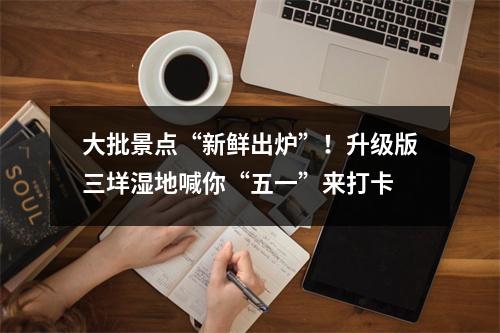 大批景点“新鲜出炉”！升级版三垟湿地喊你“五一”来打卡