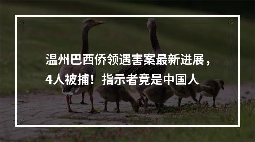 温州巴西侨领遇害案最新进展，4人被捕！指示者竟是中国人