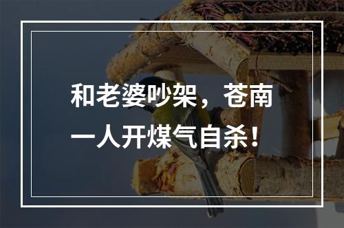 和老婆吵架，苍南一人开煤气自杀！