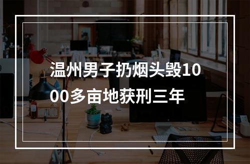 温州男子扔烟头毁1000多亩地获刑三年