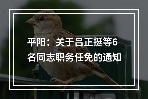 平阳：关于吕正挺等6名同志职务任免的通知