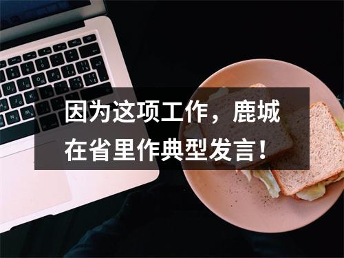 因为这项工作，鹿城在省里作典型发言！