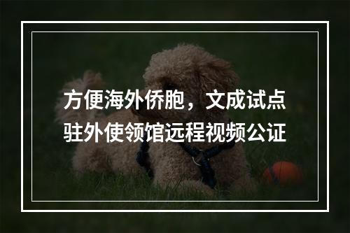 方便海外侨胞，文成试点驻外使领馆远程视频公证