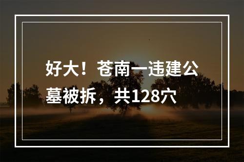 好大！苍南一违建公墓被拆，共128穴